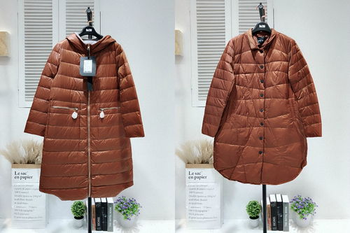 617轻薄羽绒服休闲时尚女装精品冬季新款羽绒服搭配