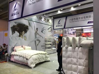 六安海洋羽毛:围绕专精特新做强 带动农民致富