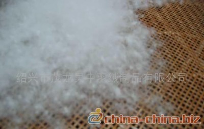 供应白鹅绒(图) - 中国制造交易网
