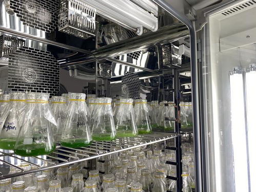 新知 细胞工厂,万物皆可 造 揭秘神奇的 微生物打工仔
