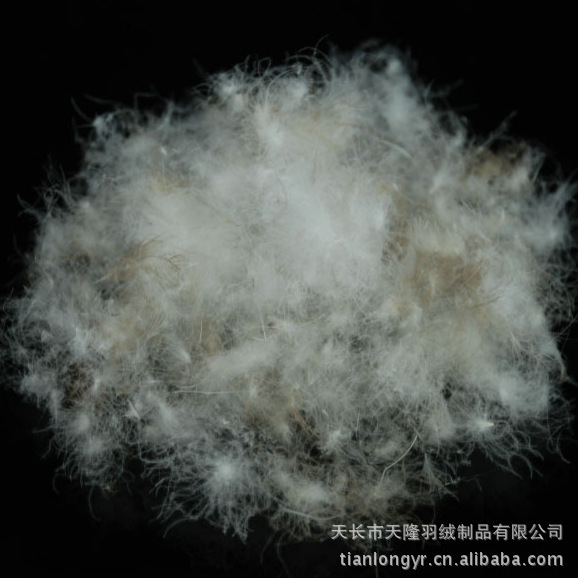 【热销】供应推荐厂家大量销售羽绒 水洗鹅毛羽绒 水洗羽绒图片,【热销】供应推荐厂家大量销售羽绒 水洗鹅毛羽绒 水洗羽绒图片大全,天长市天隆羽绒制品-8-