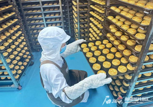 中秋佳节将至，乌鲁木齐食品与羽绒制品企业双线并进迎忙季