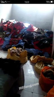 河南全面启动羽绒制品回收与加工产业升级计划