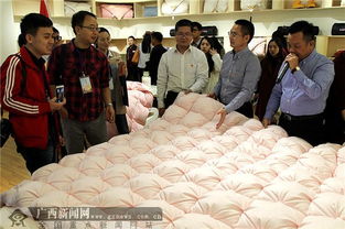 全国网媒聚焦中国羽绒之乡 港南桥圩羽绒及制品加工发展新格局