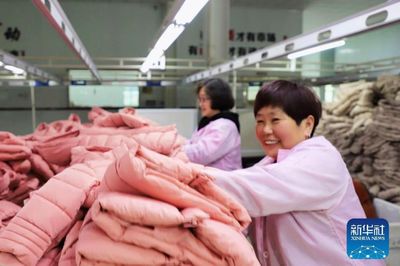 河南范县 羽绒及制品产销两旺，工人干劲十足