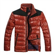 时尚与温暖并存 探索与狼共舞 d wolves 羽绒服的细节魅力与报价